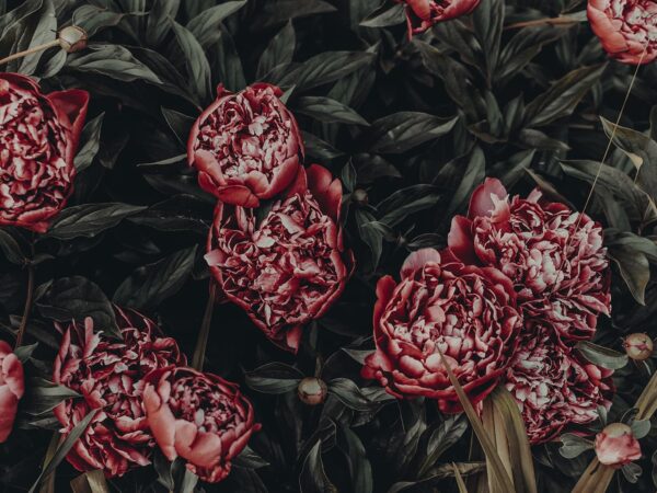 The art of depicting flowers
